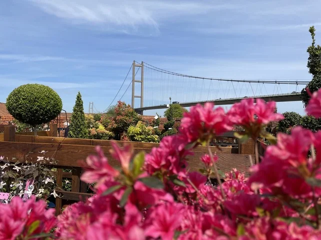 Humber Bridge Flowers