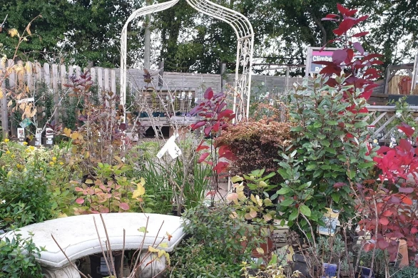 Worcester Outdoor Plants