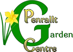 Penrallt Logo